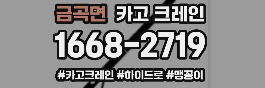 금곡면 크레인 작업