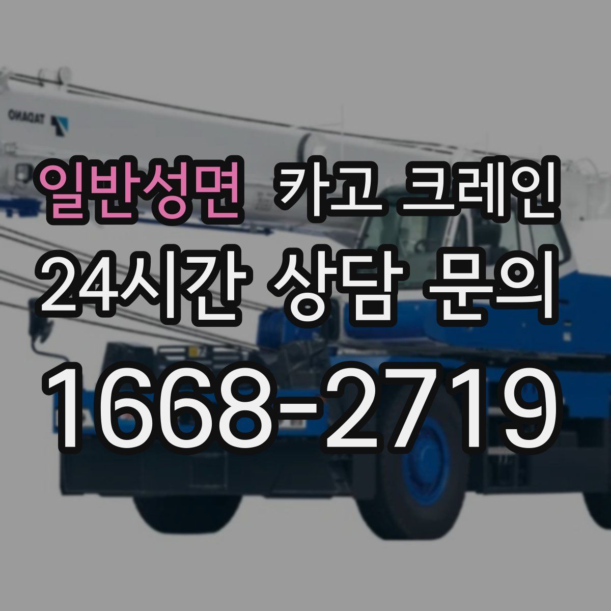 일반성면 카고 크레인