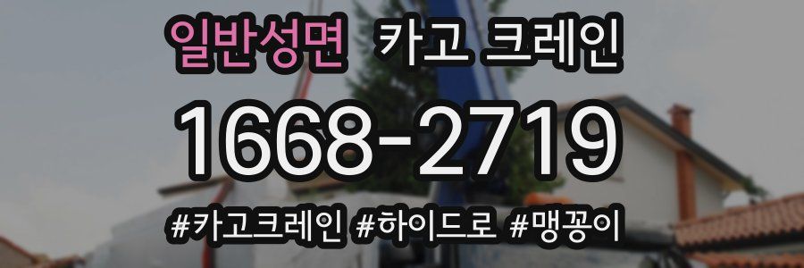 일반성면 크레인 작업