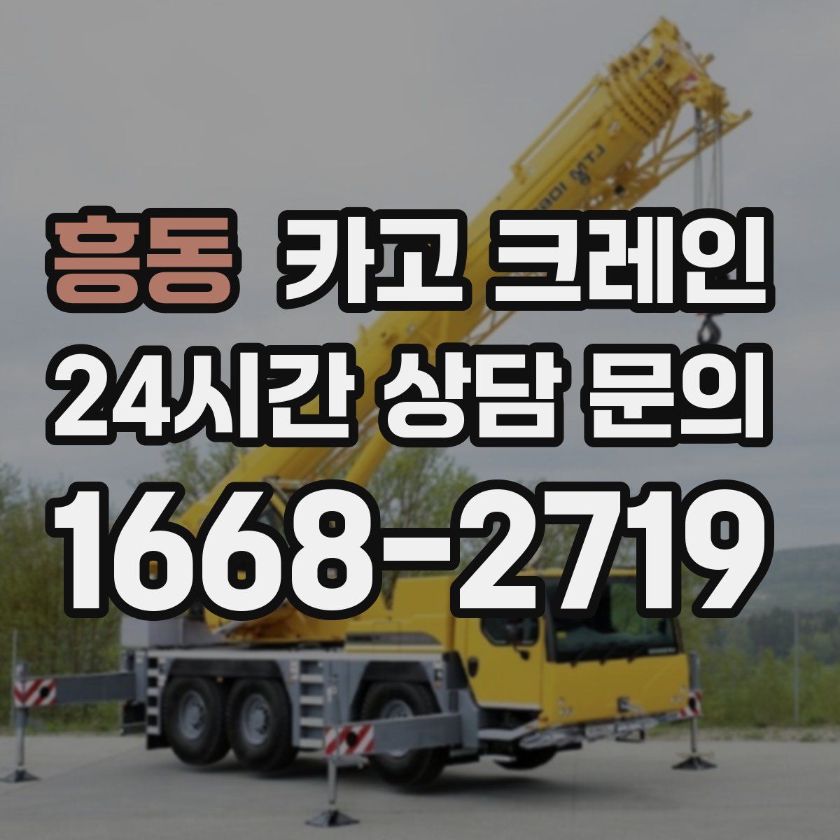 흥동 카고 크레인