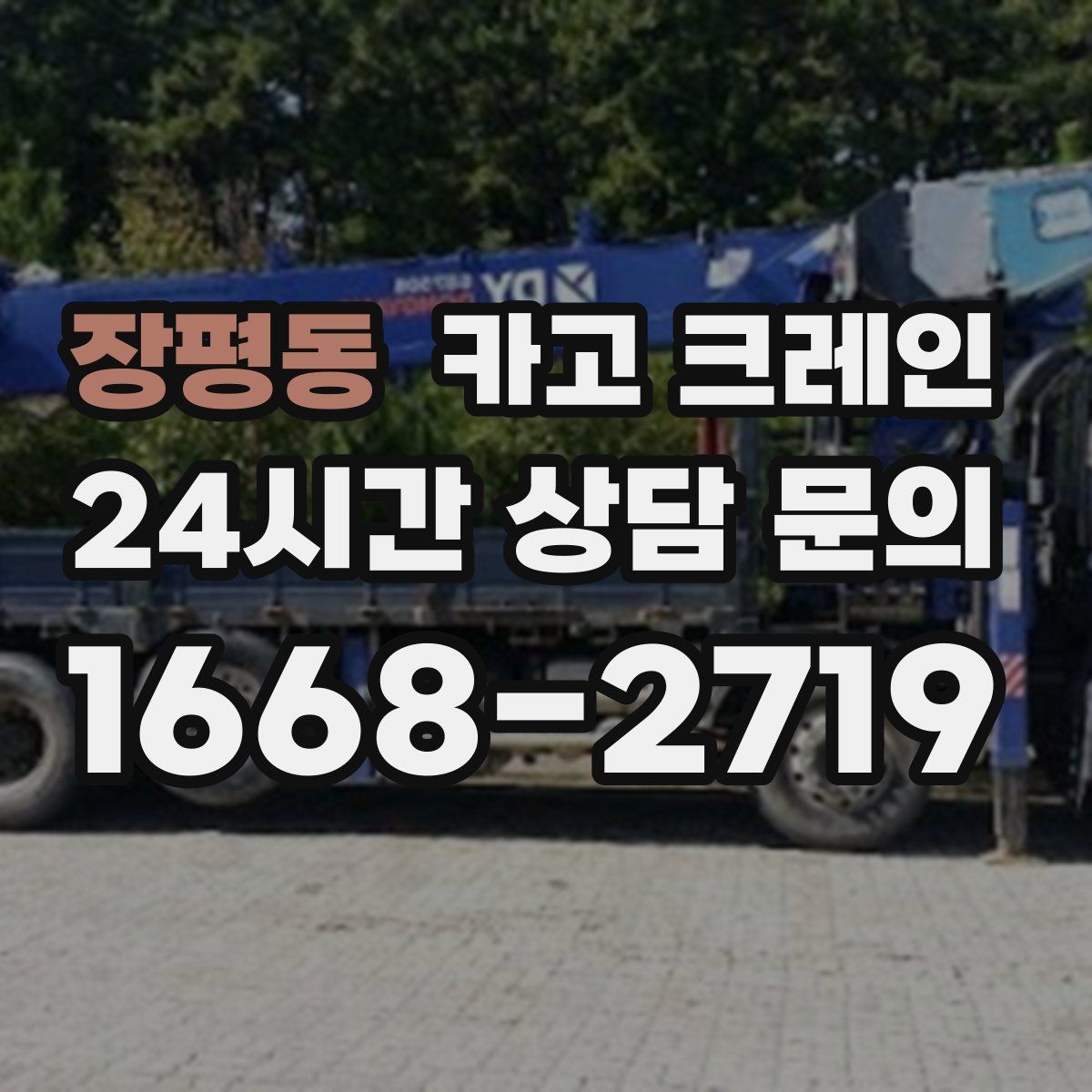 장평동 카고 크레인