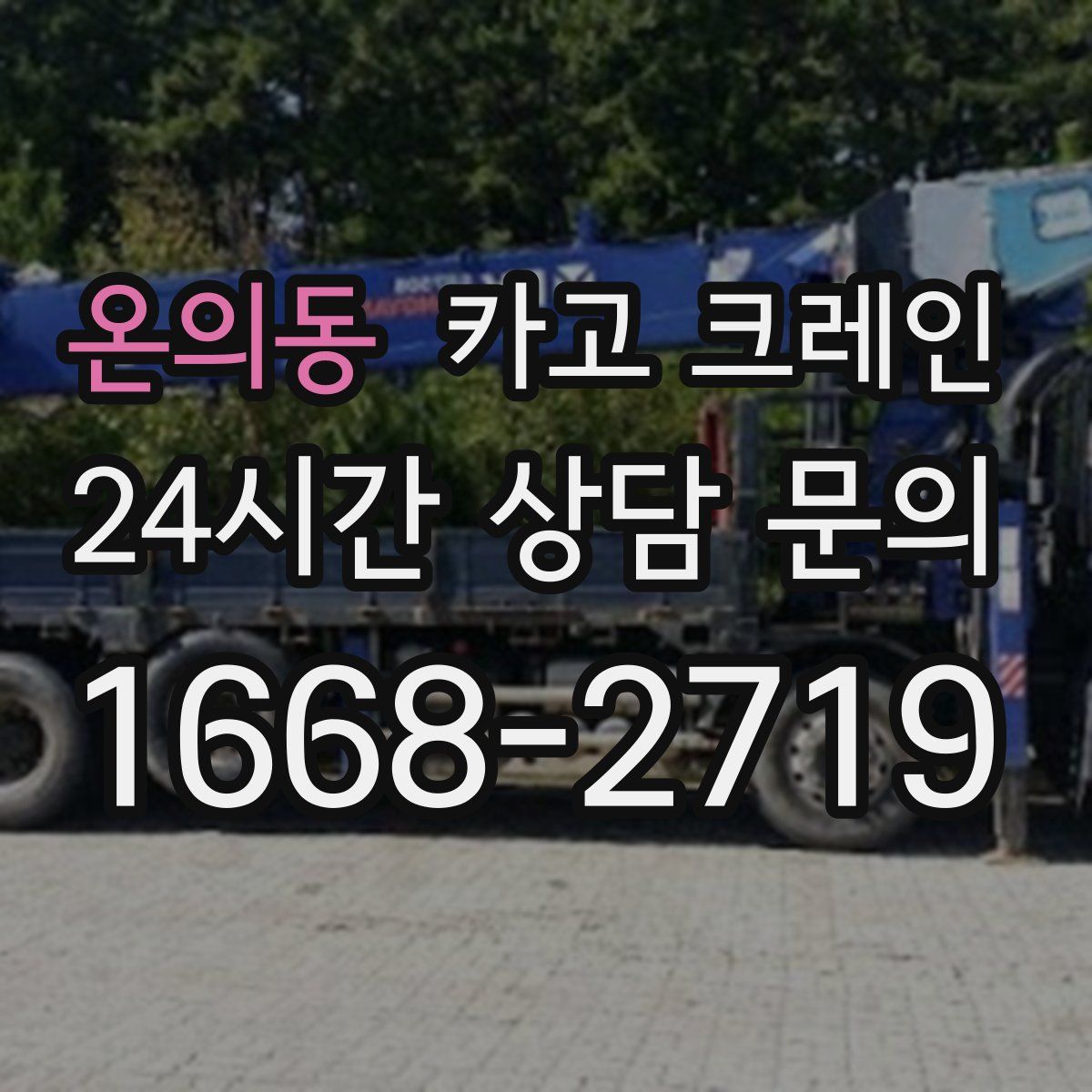 온의동 카고 크레인