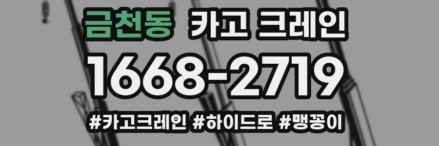 금천동 크레인 작업