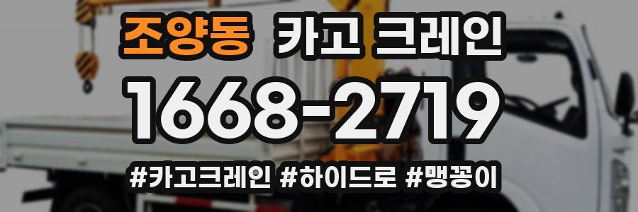 조양동 크레인 작업