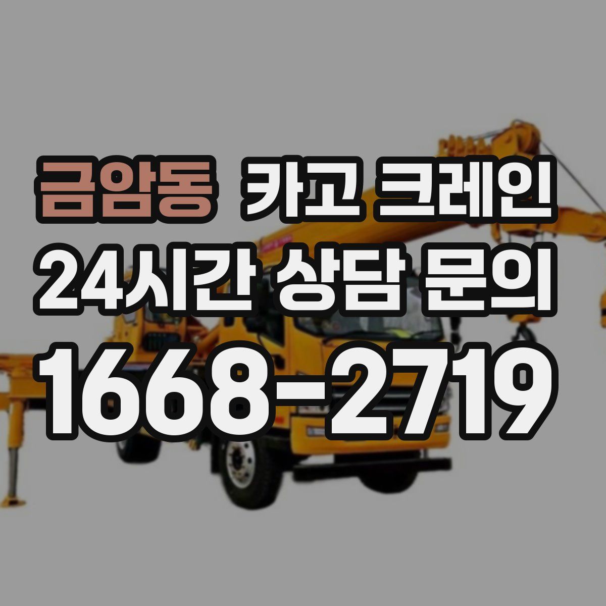 금암동 카고 크레인