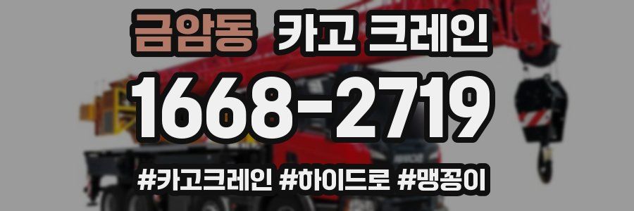 금암동 크레인 작업