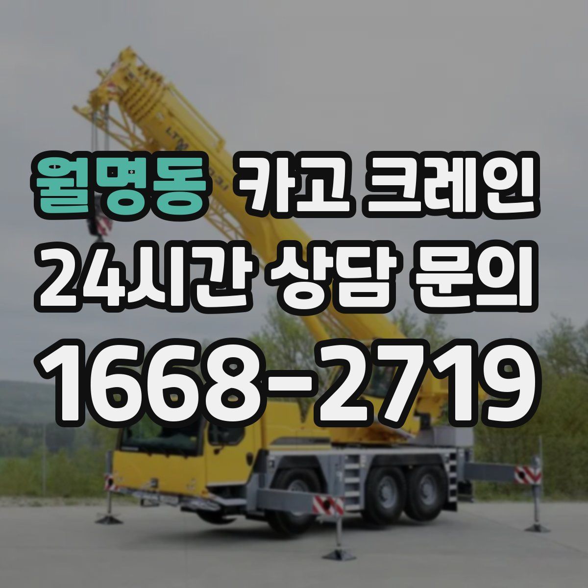 월명동 카고 크레인