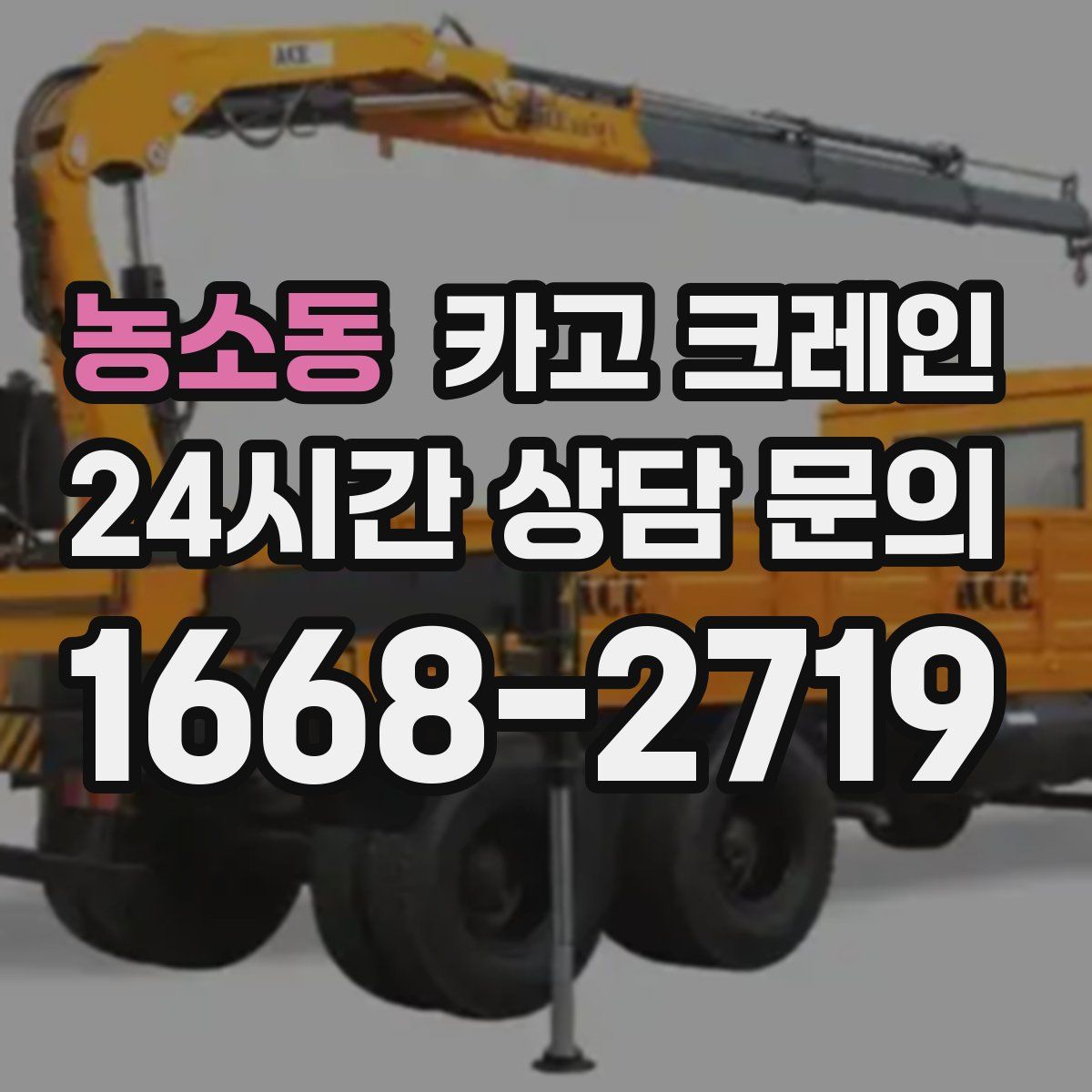 농소동 카고 크레인