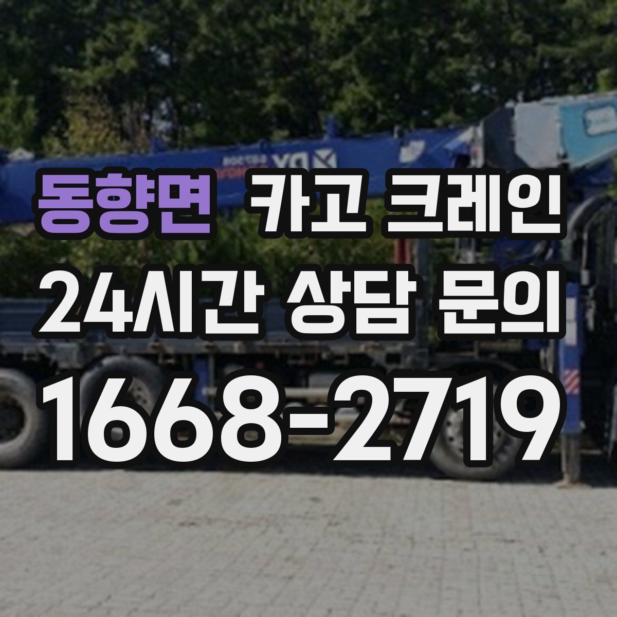 동향면 카고 크레인