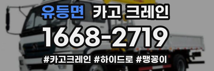 유등면 크레인 작업