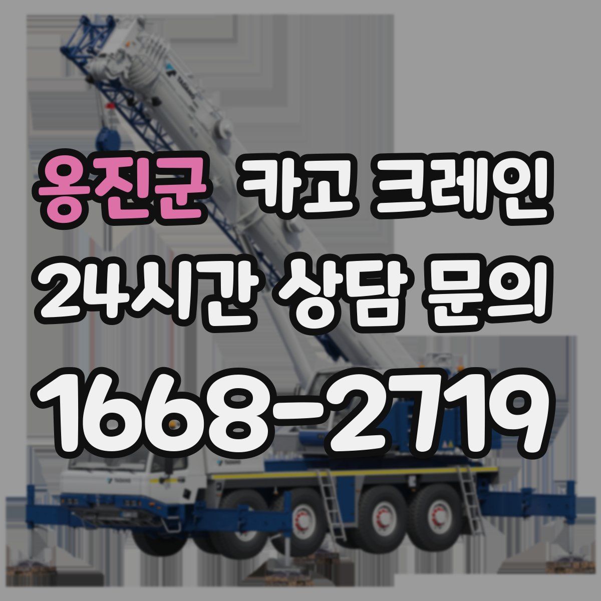 옹진군 카고 크레인