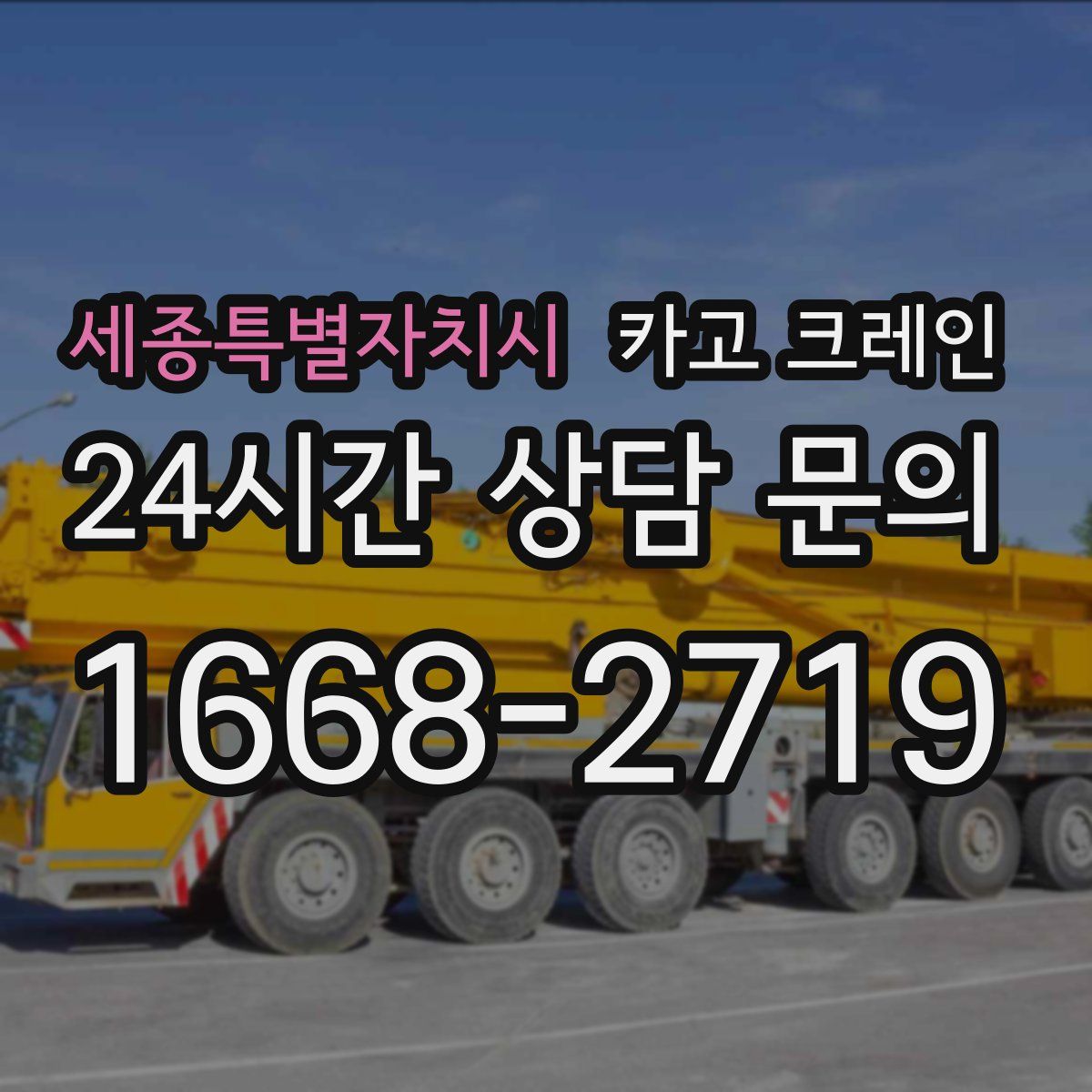 세종특별자치시 카고 크레인