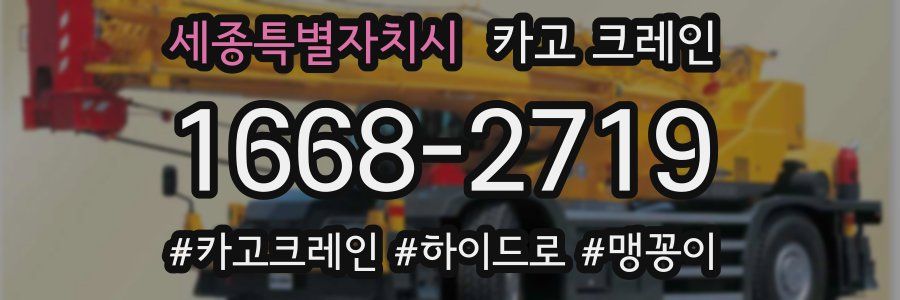 세종특별자치시 크레인 작업