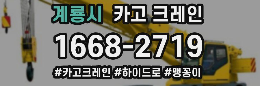 계룡시 크레인 작업