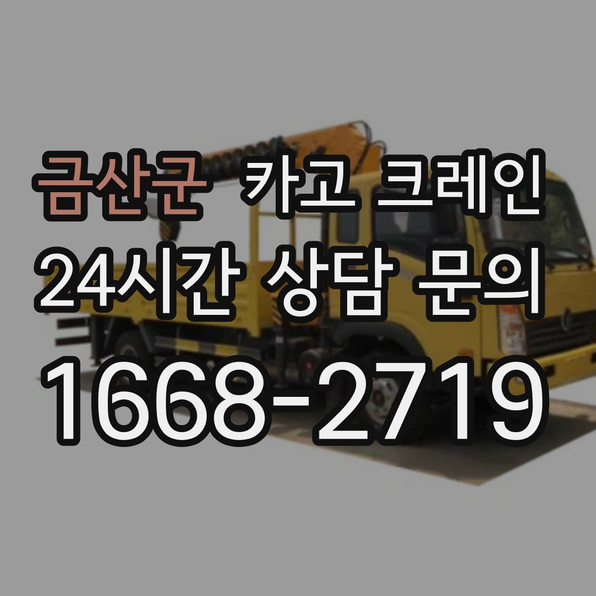 금산군 카고 크레인