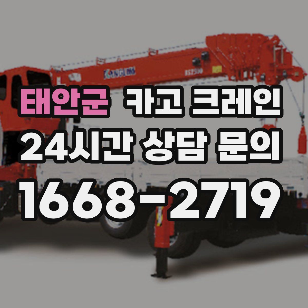 태안군 카고 크레인