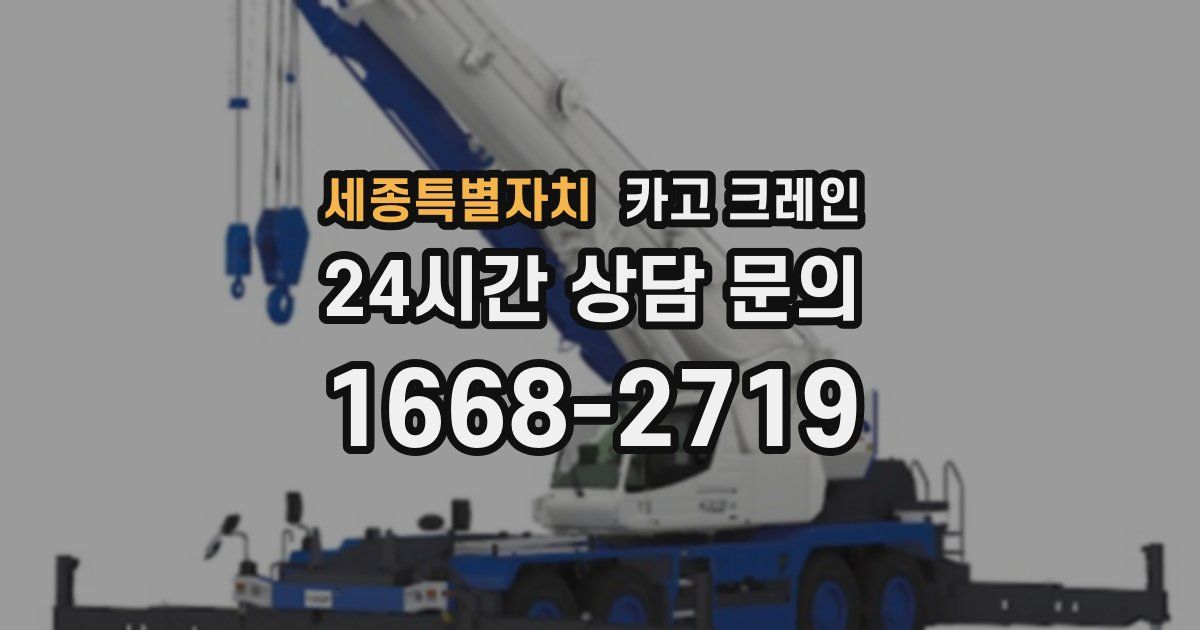 세종특별자치 크레인