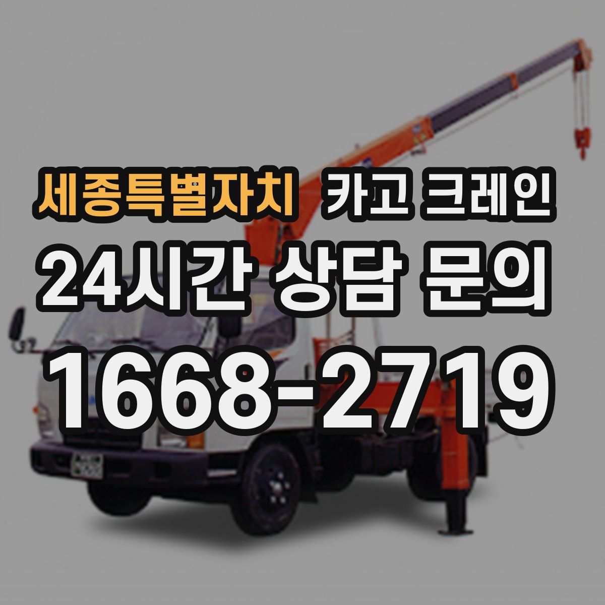 세종특별자치 카고 크레인