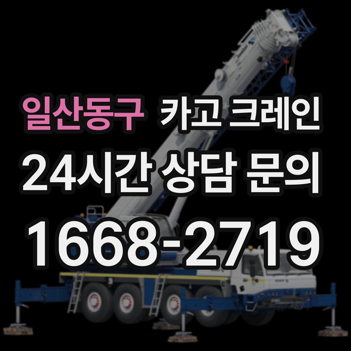 일산동구 카고 크레인