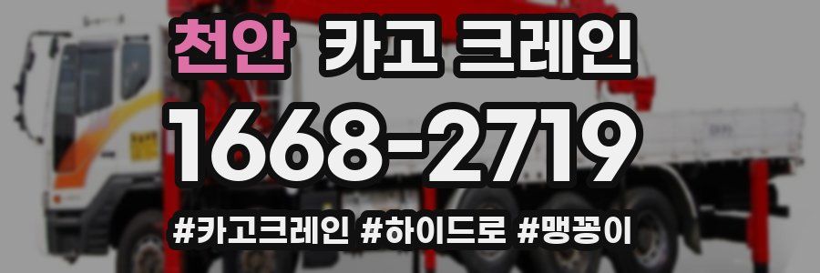 천안 크레인 작업