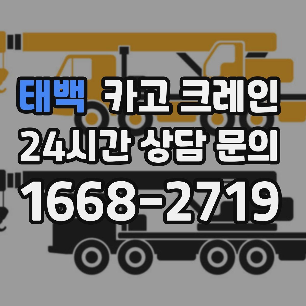 태백 카고 크레인 여러 대가 필요한 현장 판단 기준