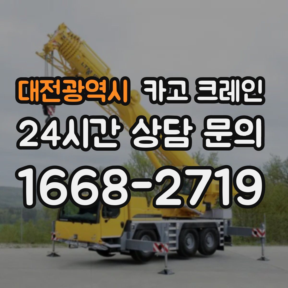 대전광역시 카고 크레인