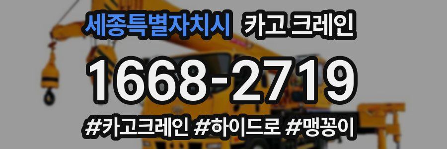 세종특별자치시 크레인 작업