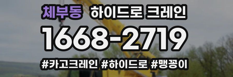 체부동 하이드로 크레인