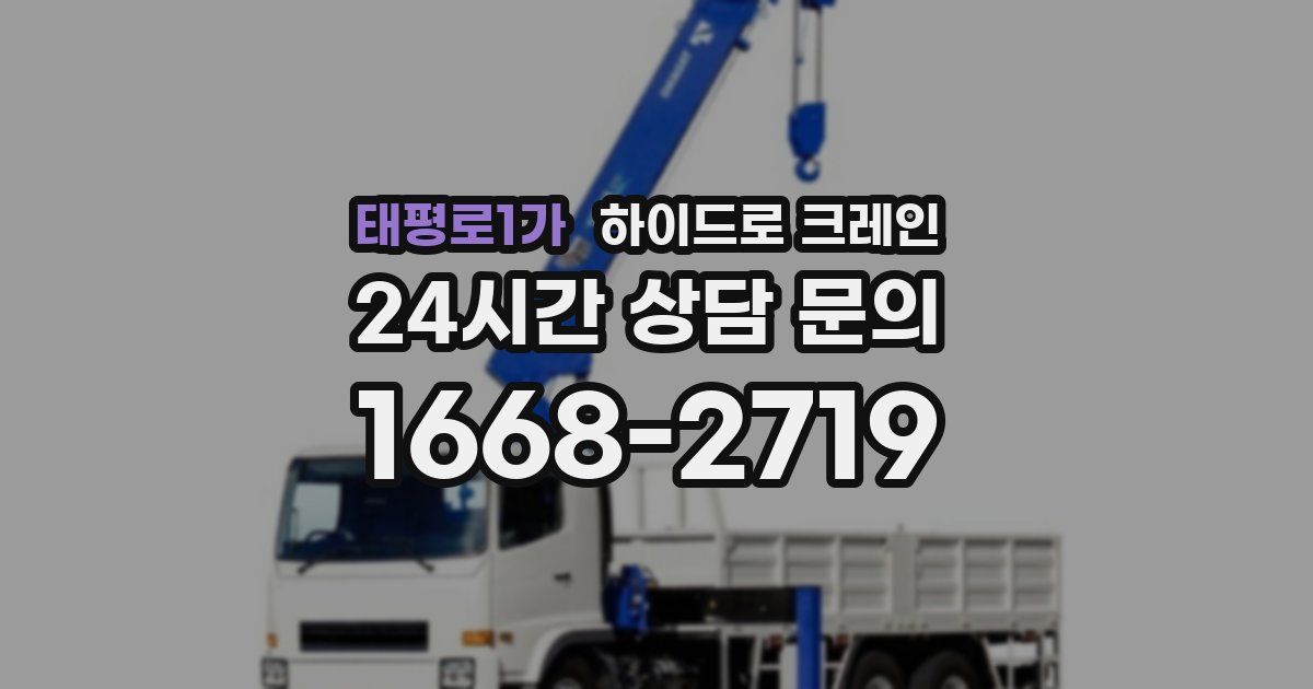 태평로1가 하이드로 크레인