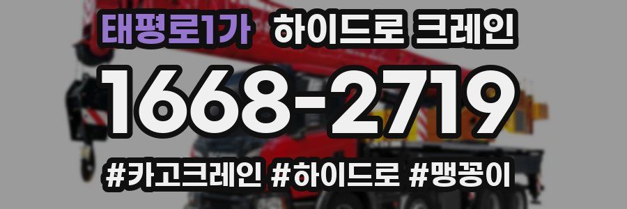 태평로1가 하이드로 크레인