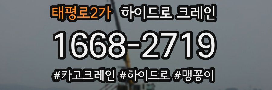 태평로2가 하이드로 크레인