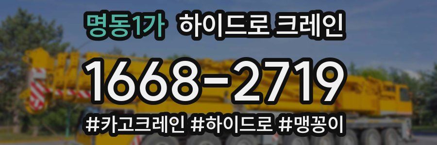 명동1가 하이드로 크레인