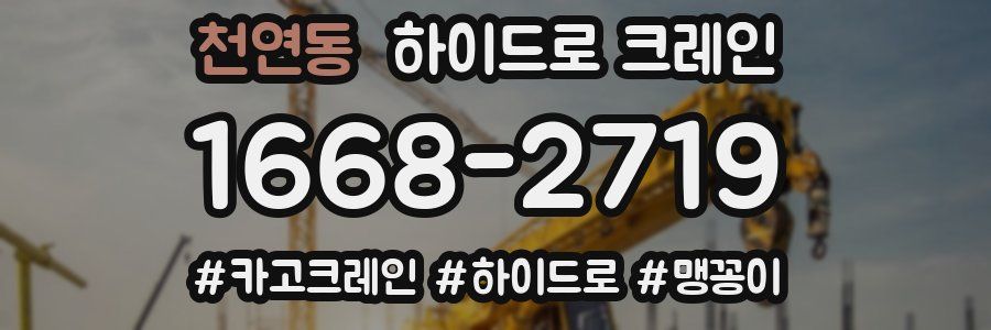 천연동 하이드로 크레인