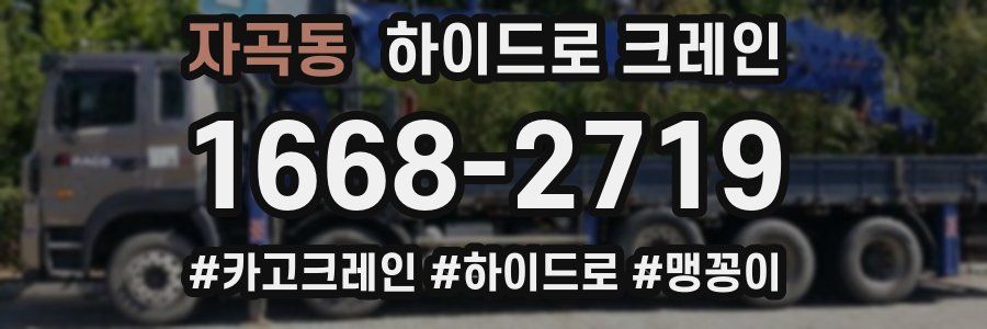 자곡동 하이드로 크레인