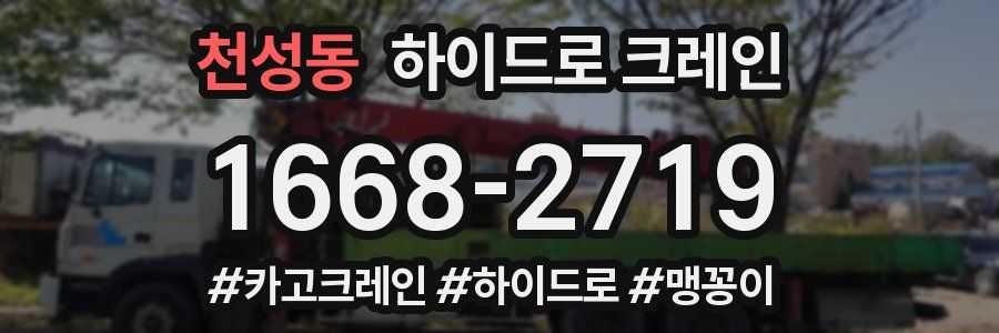 천성동 하이드로 크레인