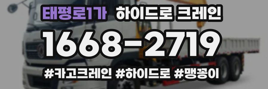 태평로1가 하이드로 크레인