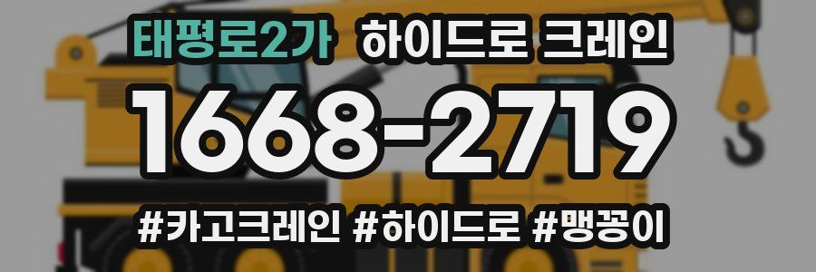 태평로2가 하이드로 크레인