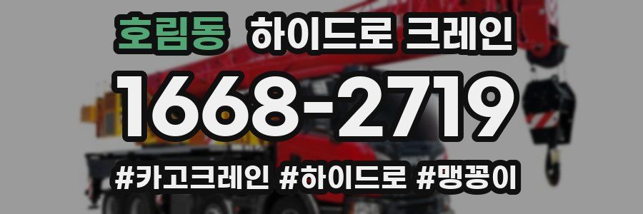호림동 하이드로 크레인