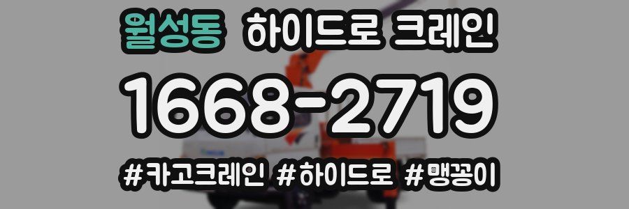 월성동 하이드로 크레인