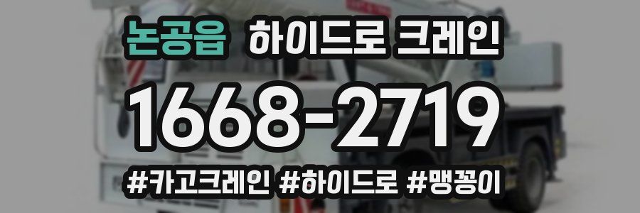 논공읍 하이드로 크레인