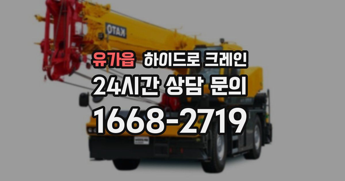 유가읍 하이드로 크레인
