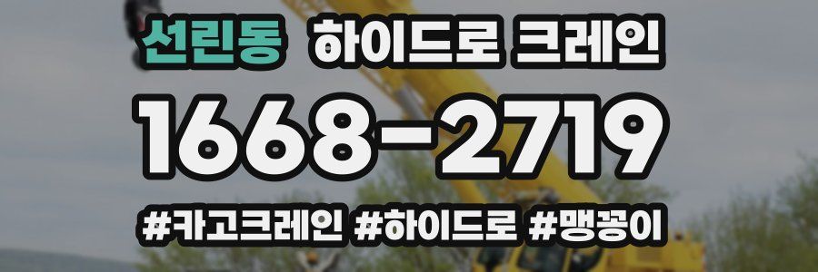 선린동 하이드로 크레인