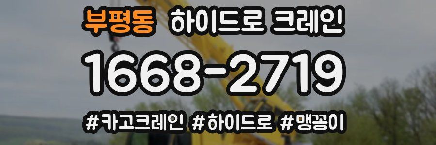 부평동 하이드로 크레인