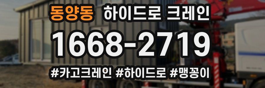 동양동 하이드로 크레인