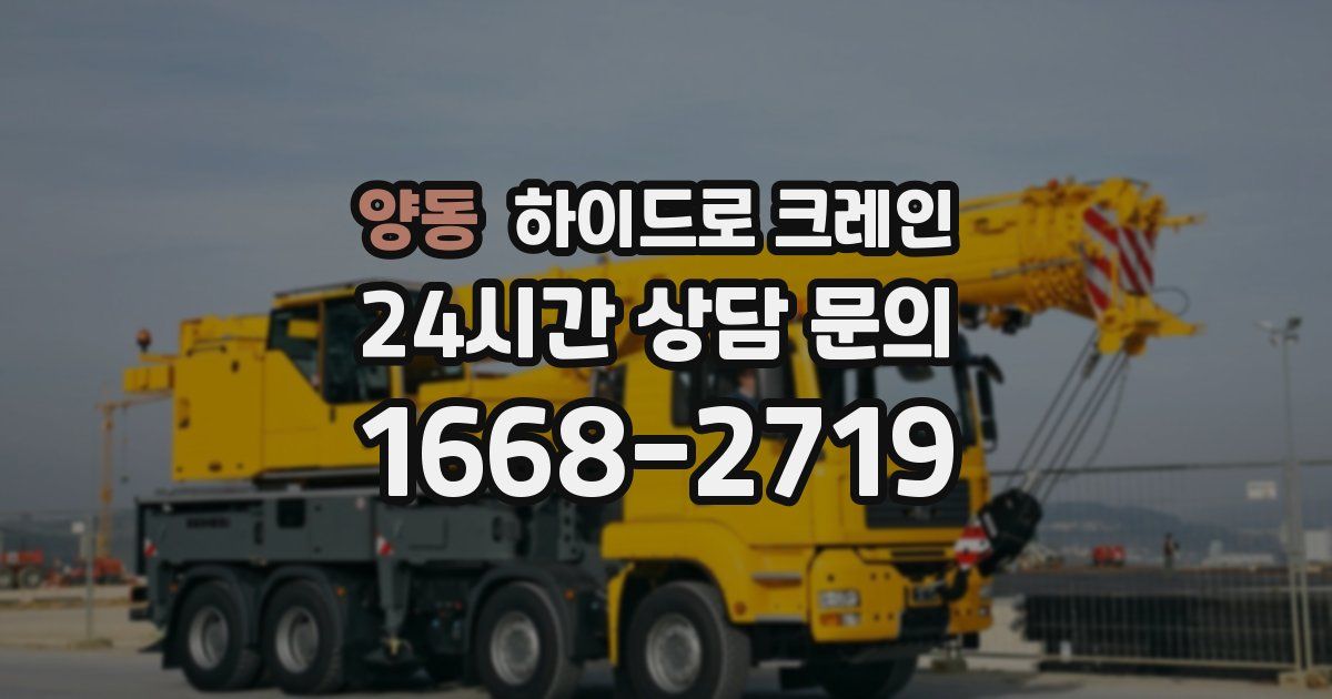 양동 하이드로 크레인