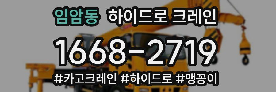임암동 하이드로 크레인