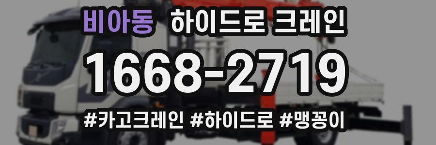 비아동 하이드로 크레인