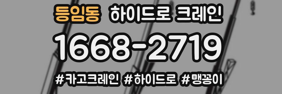 등임동 하이드로 크레인