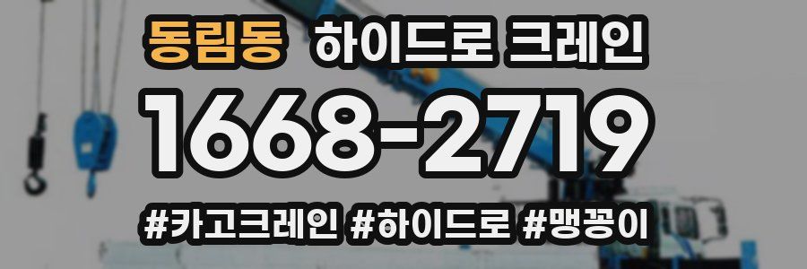 동림동 하이드로 크레인