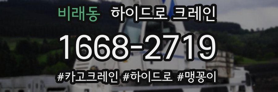 비래동 하이드로 크레인